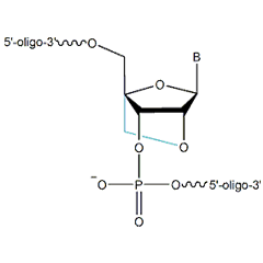 Locked Nucleic Acid probes